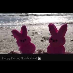 Meet your Posher, Jamilee